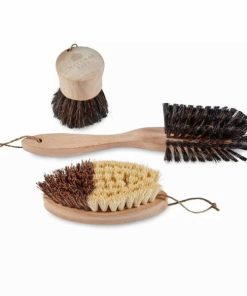 Ednaordor.shop258b09ac29 1